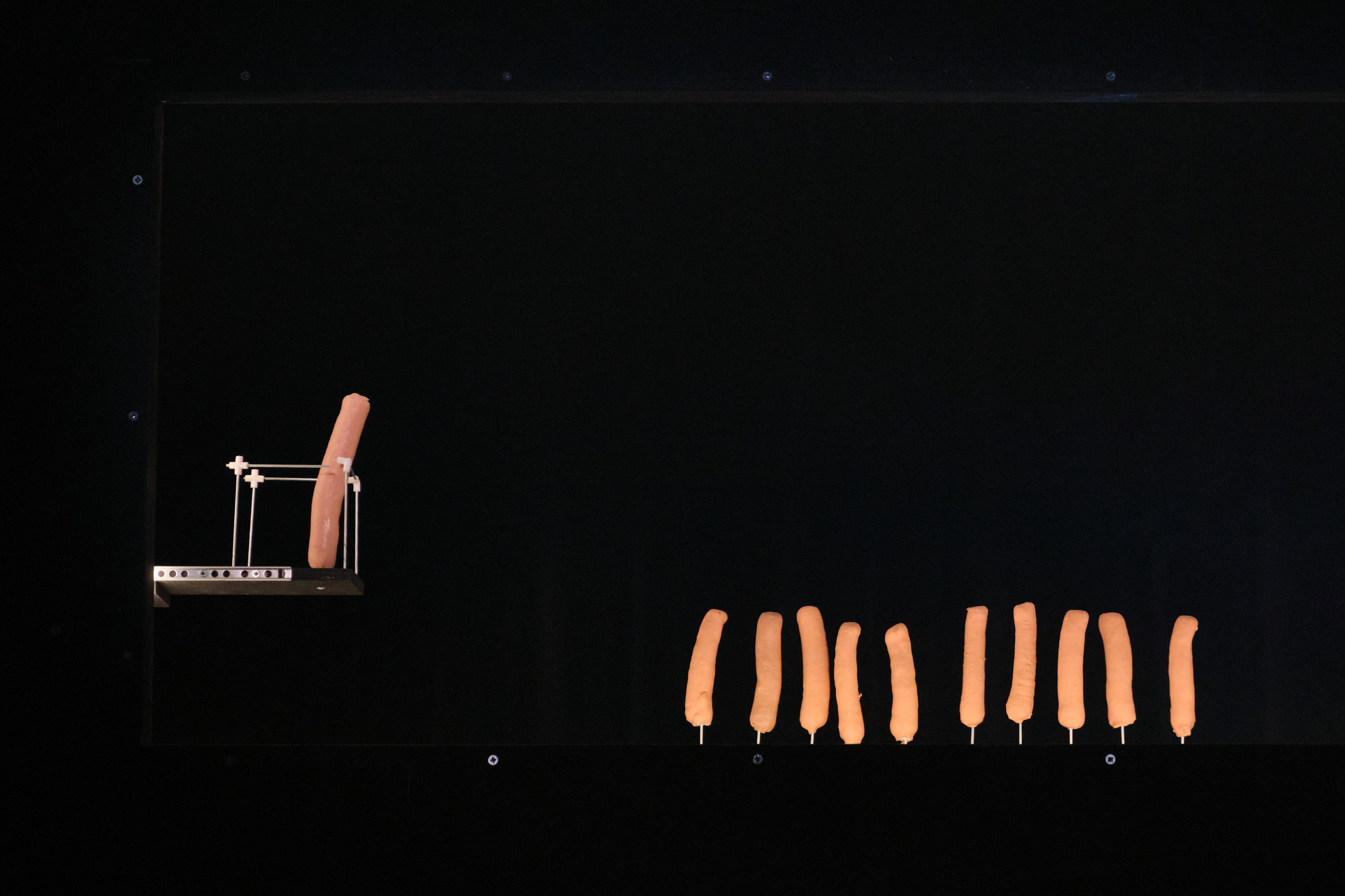 Capital Canibal - © Susana Neves