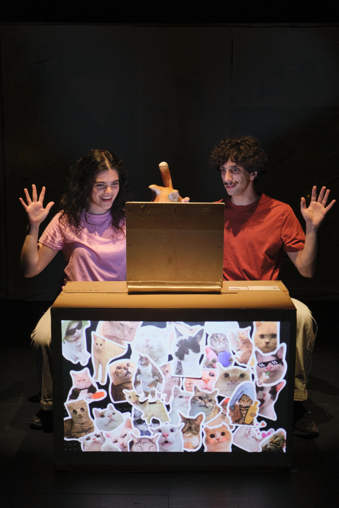 Outa Vez Miau IV - ©Susana Neves