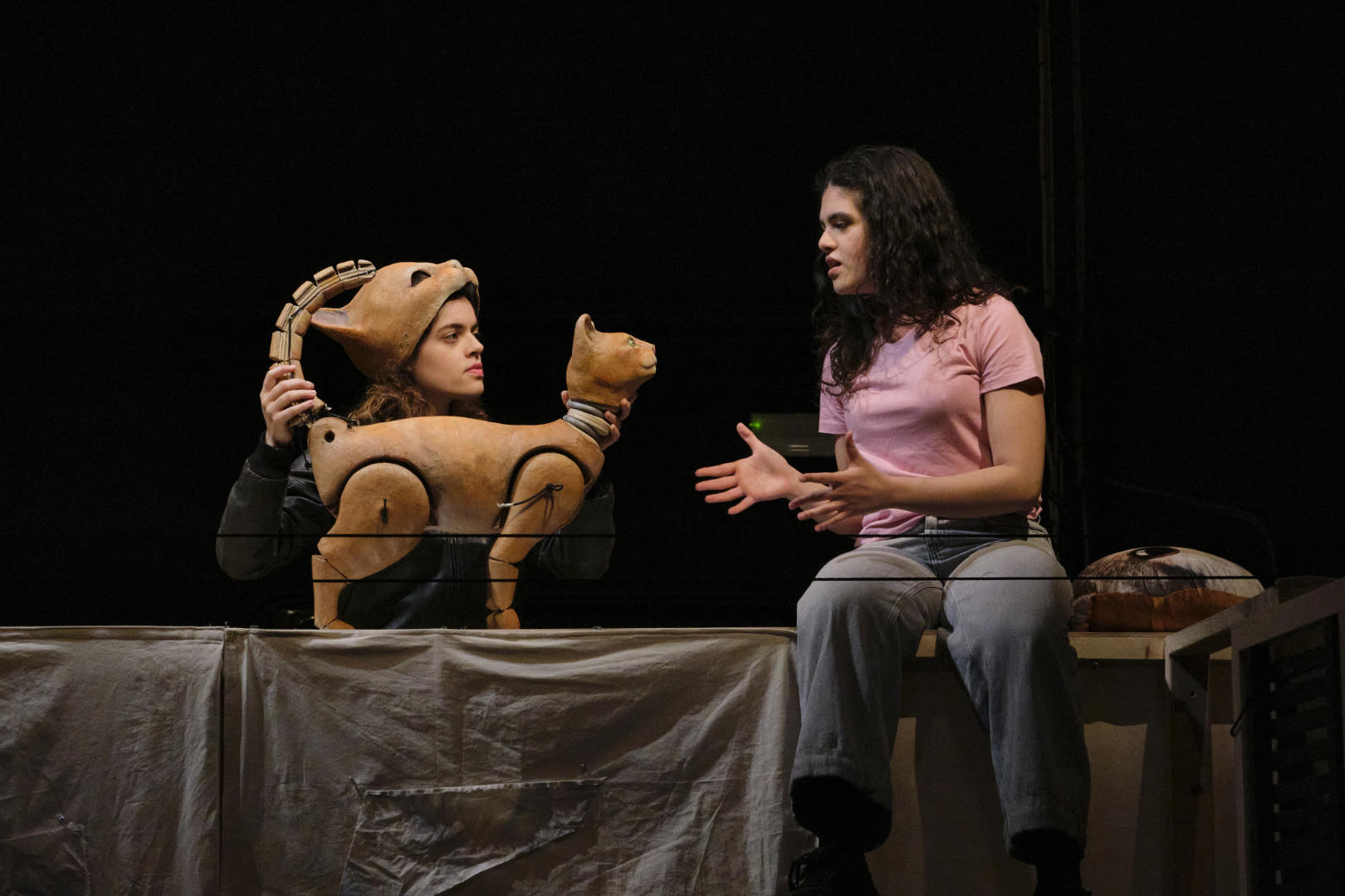 Outa Vez Miau II - ©Susana Neves