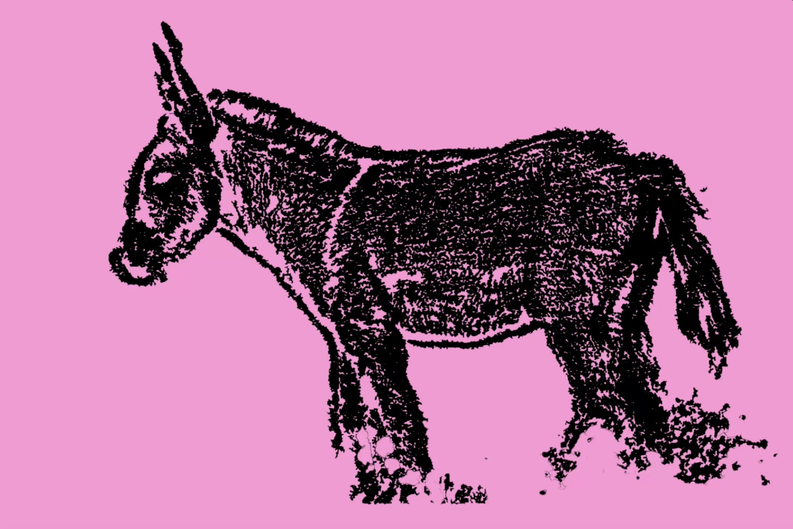 MULA · Festival de Artes Performativas